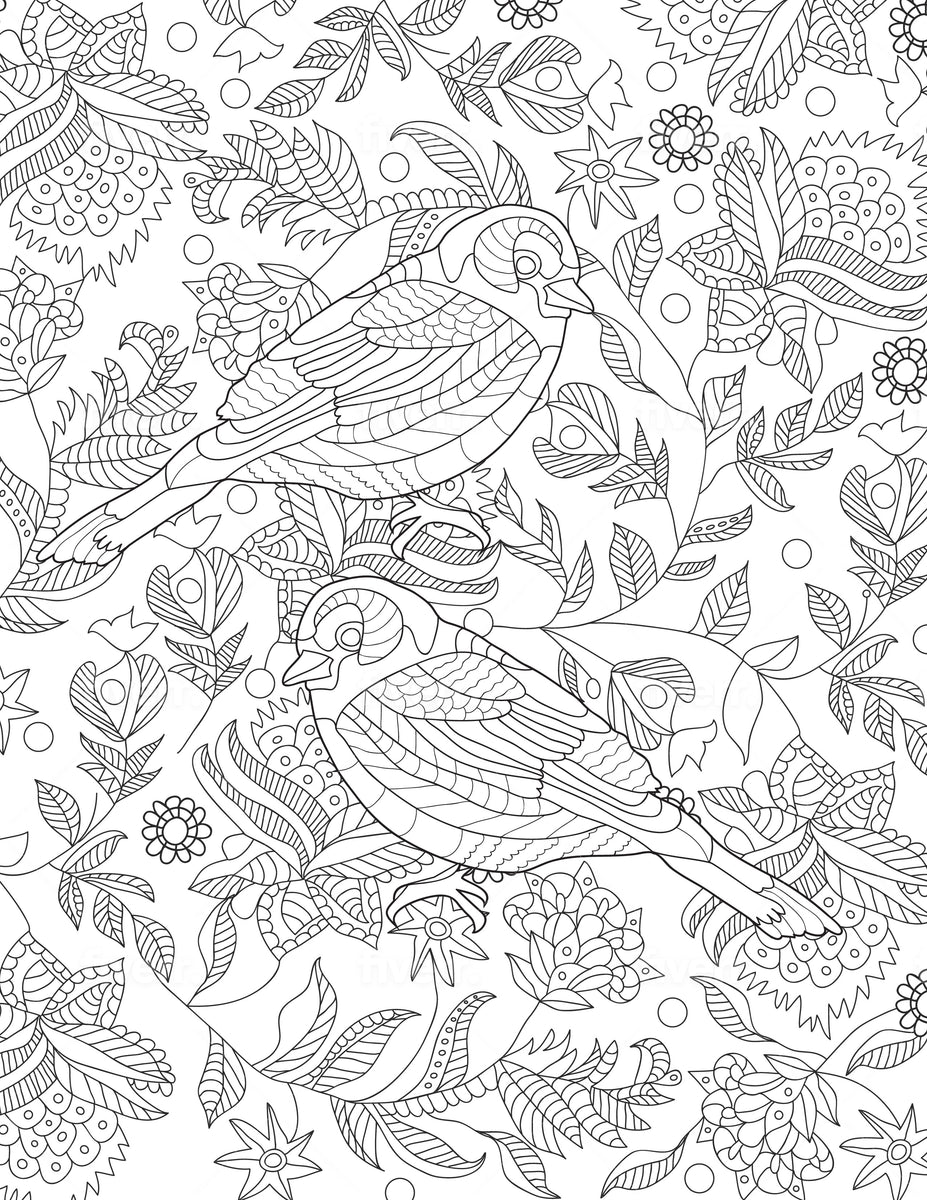 Birds Coloring Sheet | Goin Postal Brentwood