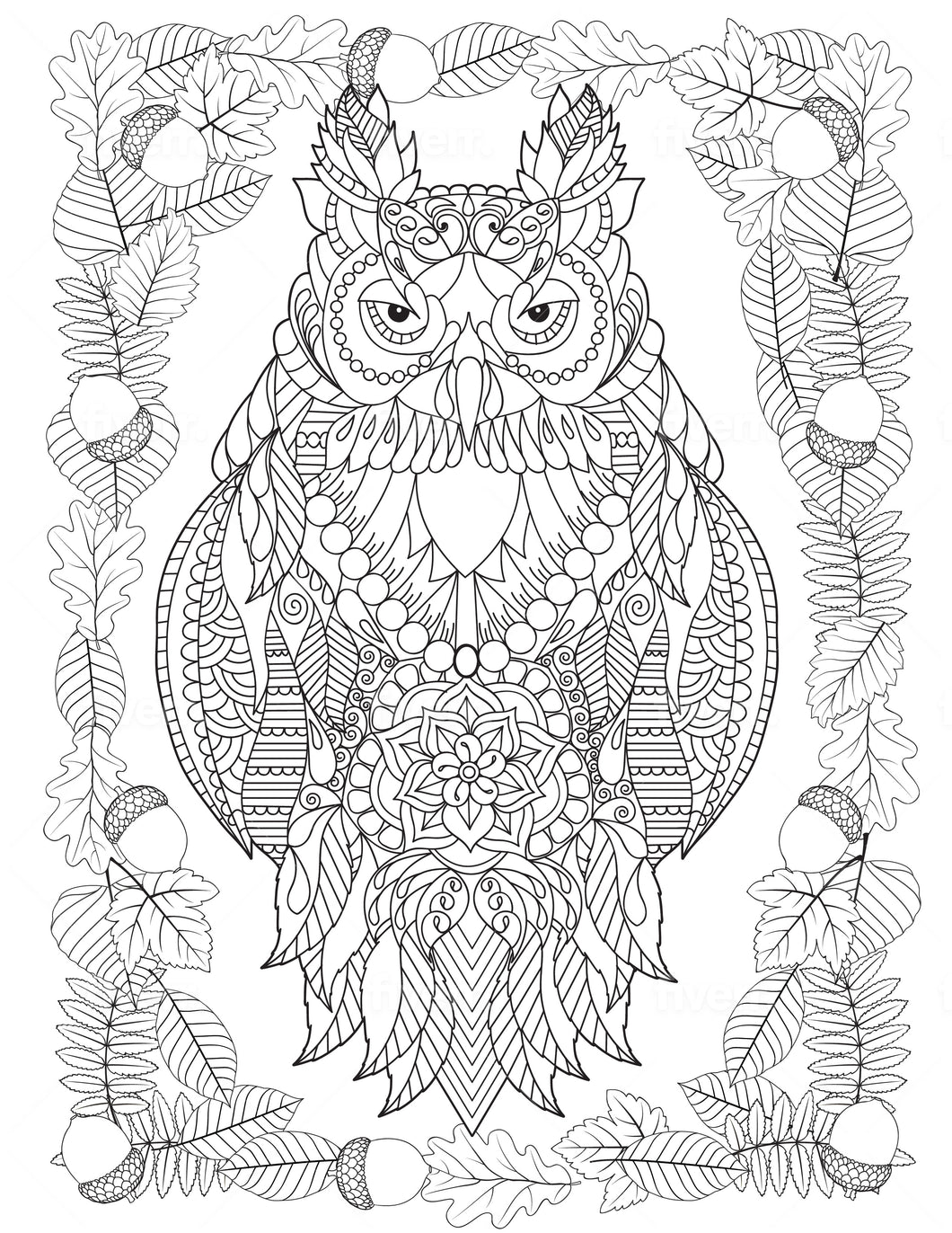 Owl #2 Coloring Sheet - Goin Postal Brentwood