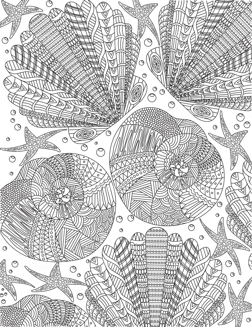 Sea Shells Coloring Sheet - Goin Postal Brentwood